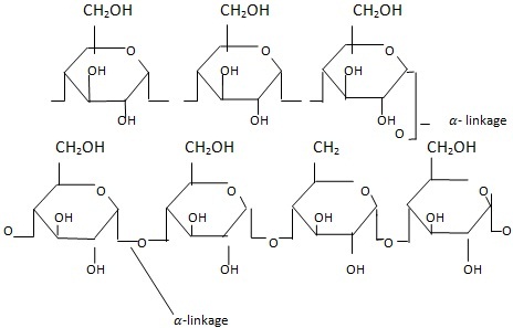 molecule has glycosidic bonds